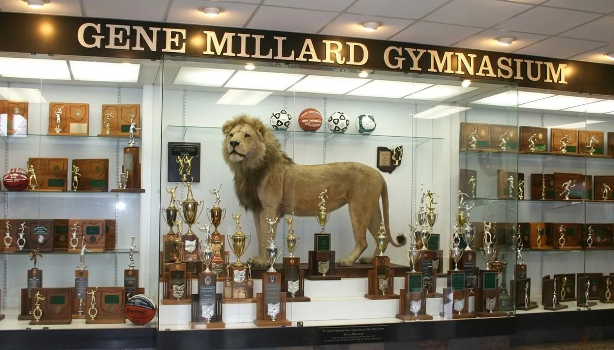 The full-width Lions Lobby display case beneath the Gene Millard Gymnasium sign, holding trophies and championship plaques
