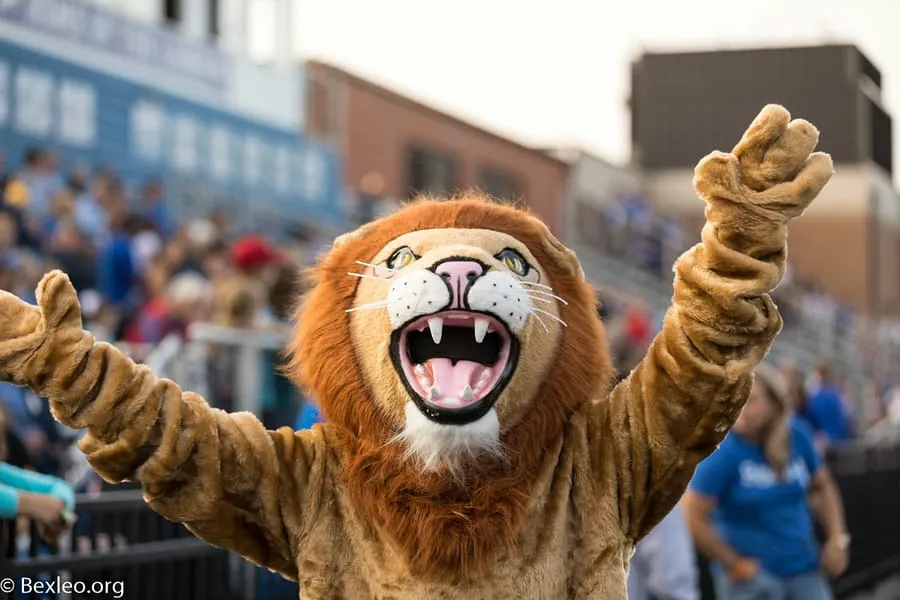 The Bexley lion mascot roaring with both arms raised